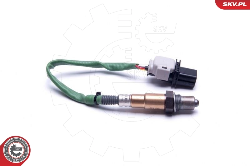 09SKV421 SKV 