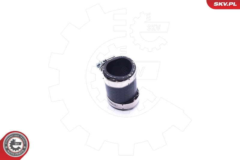  SKV 24SKV860 цена, от 9.98 USD
