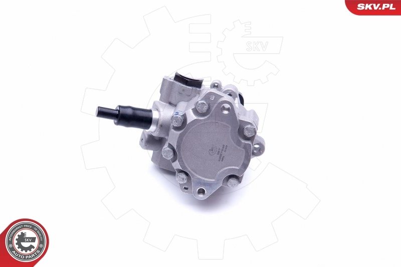 Насос гидроусилителя руля SKV 10SKV249