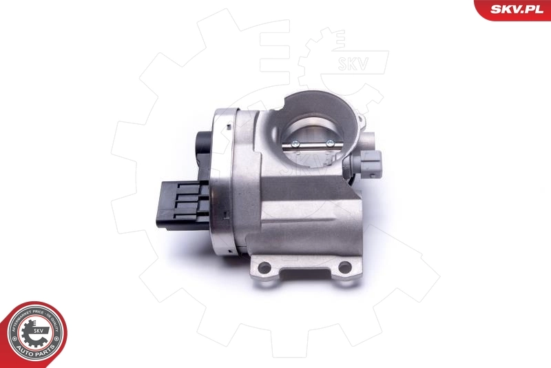 Дроссельная заслонка в сборе SKV 12SKV102 цена, от 102.99 USD