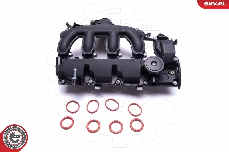 Tampa de válvulas Peugeot 307 3B