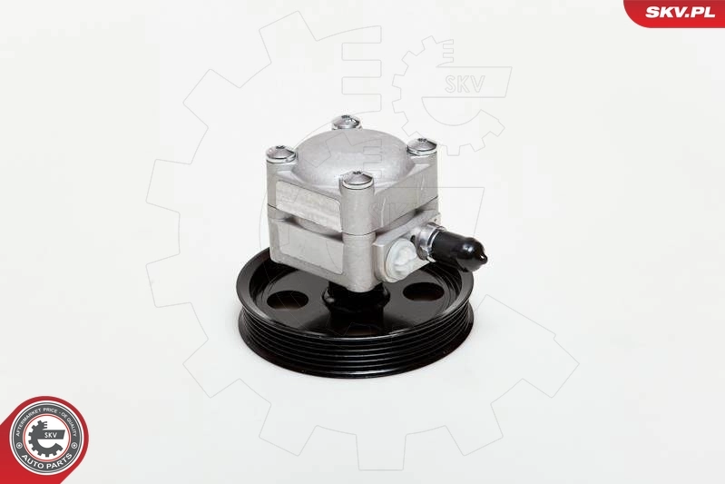 Насос ГУР 10SKV177 SKV