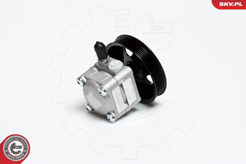 Насос ГУР 10SKV027 SKV
