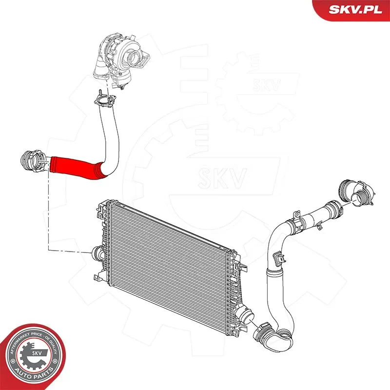 Купить 54SKV069 SKV 