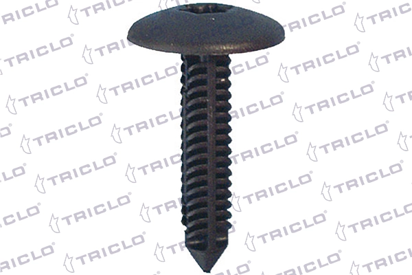 163317 Triclo