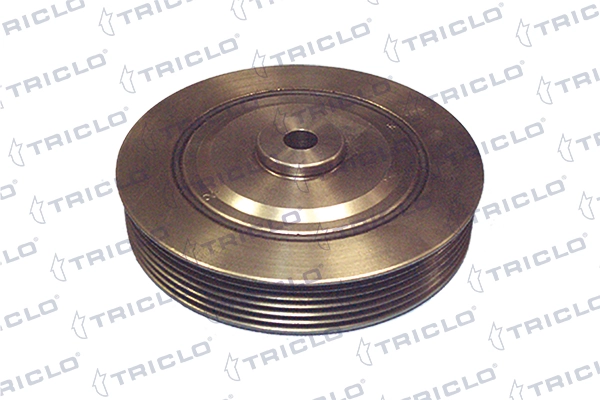 Polia de cambota Renault 21 S48