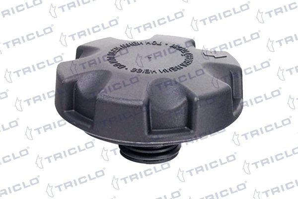 313066 Triclo