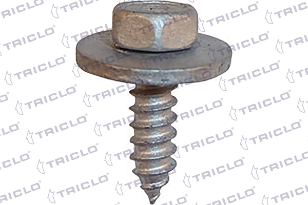 161832 Triclo