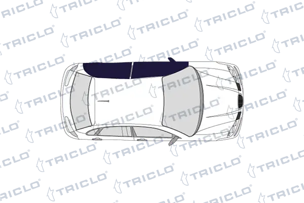 128659 Triclo