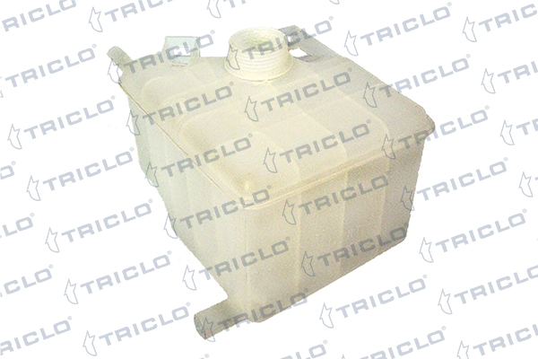 Tanque de expansão do sistema de esfriamento Renault Laguna 1 B56, 556