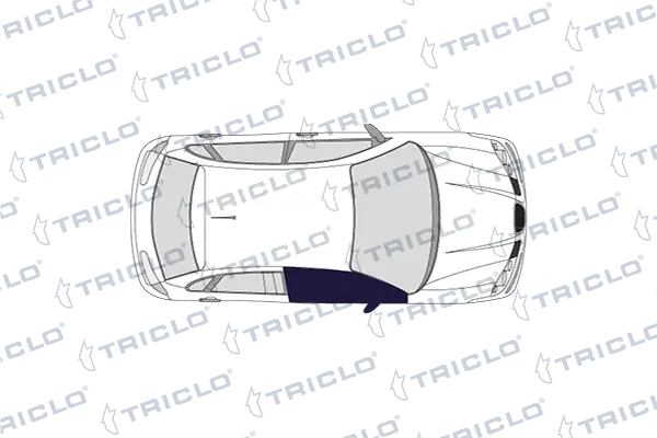 118196 Triclo