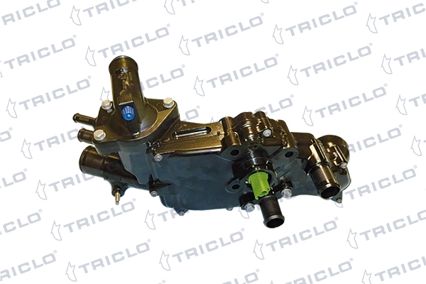 461568 Triclo