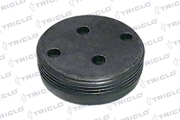 Tampão CBC/do bloco de cilindros para Skoda SuperB II 3T5
