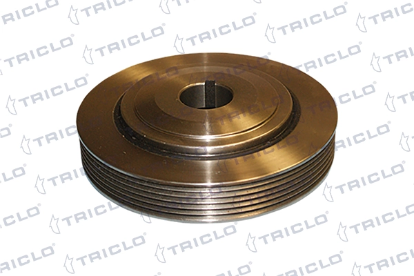 421228 Triclo