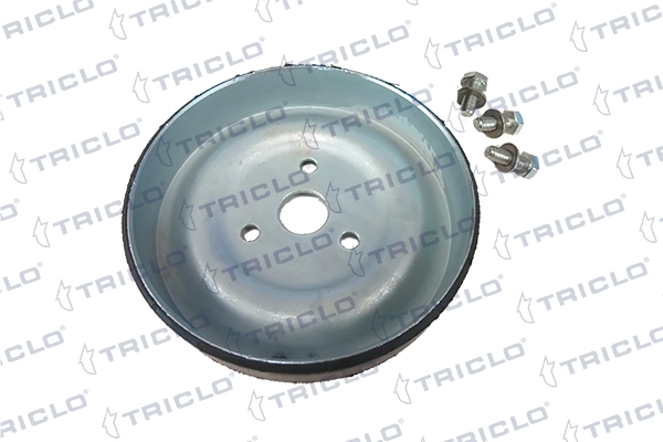 420164 Triclo