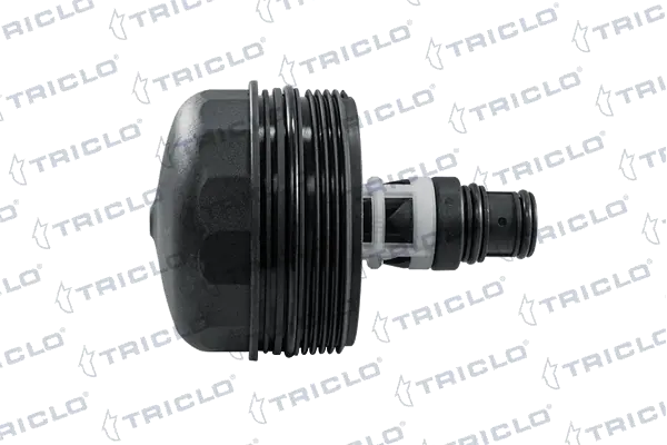 313284 Triclo