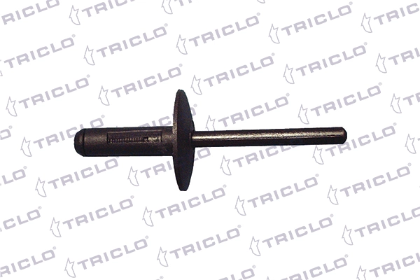 163467 Triclo