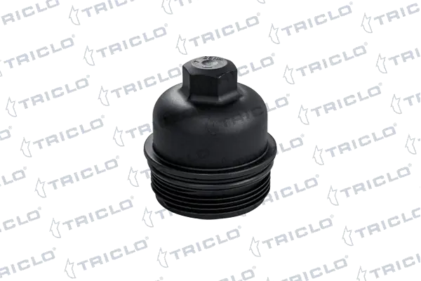 312578 Triclo