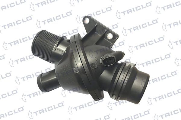 462913 Triclo