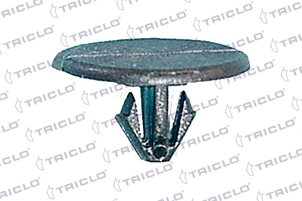 163017 Triclo