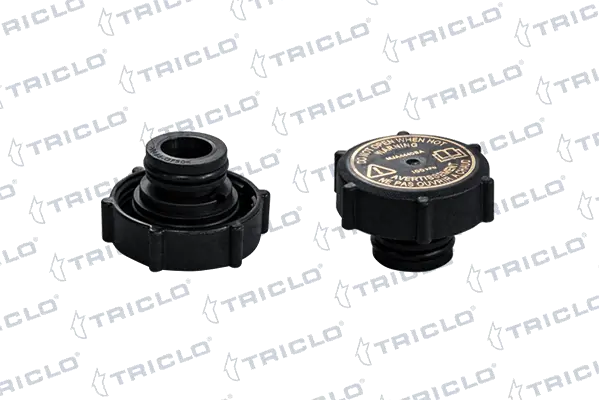 Tampa (tampão) do tanque de expansão Jaguar X-type CF1