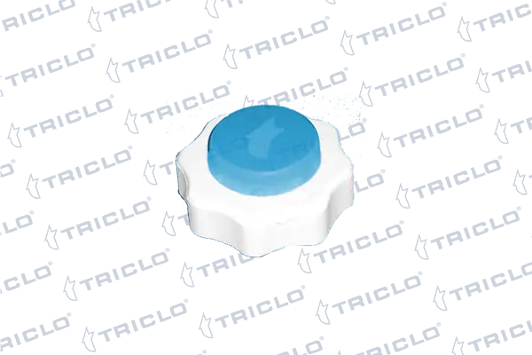 Tampa (tampão) do tanque de expansão Renault 21 S48