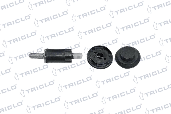 311031 Triclo