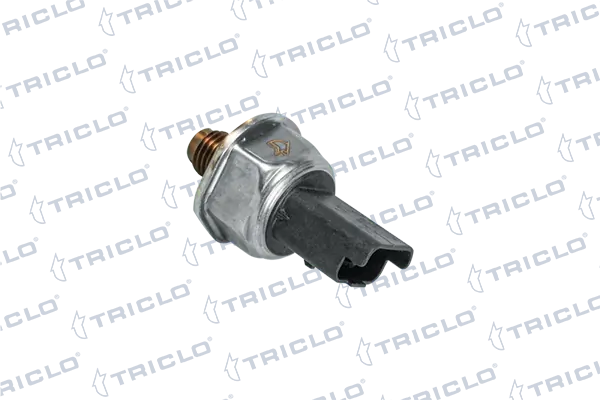 Regulador de pressão de combustível na régua de injectores Renault LOGAN 1 LS