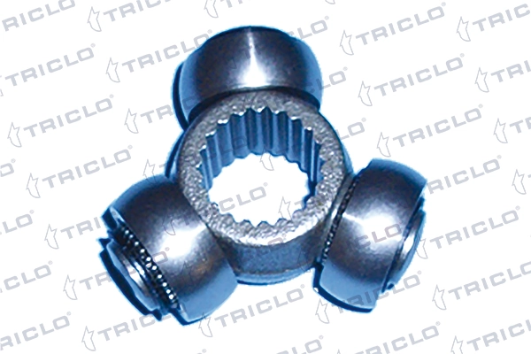 645465 Triclo