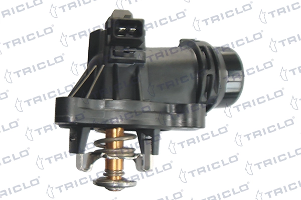 463247 Triclo