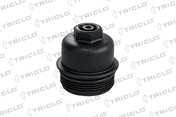 312579 Triclo