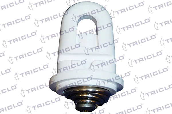 164158 Triclo