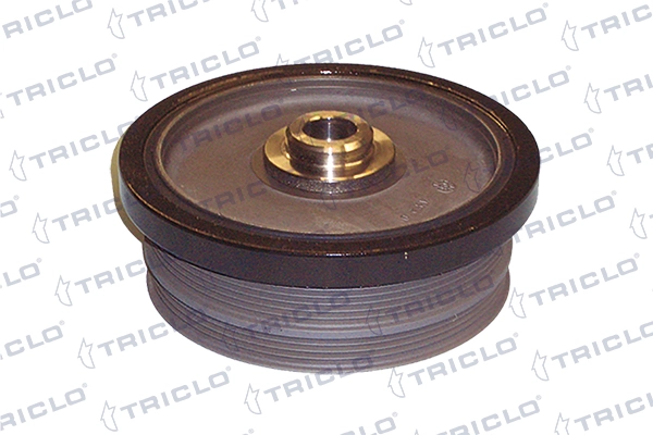 423293 Triclo