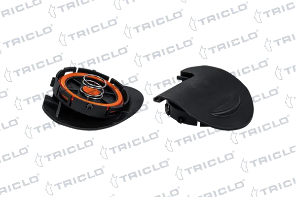 412573 Triclo
