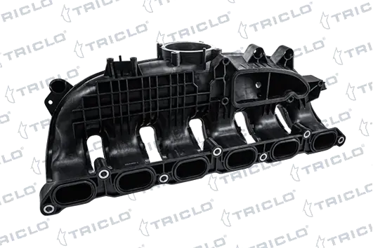 392003 Triclo