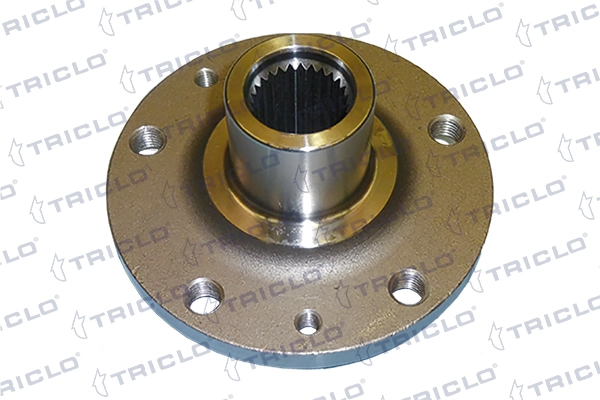 Cubo dianteiro Renault Kangoo 2 FW0