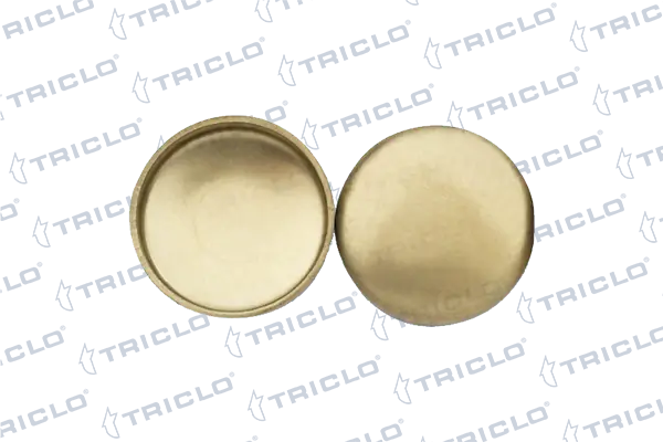 322959 Triclo