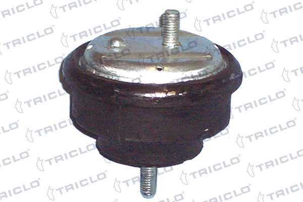 363917 Triclo