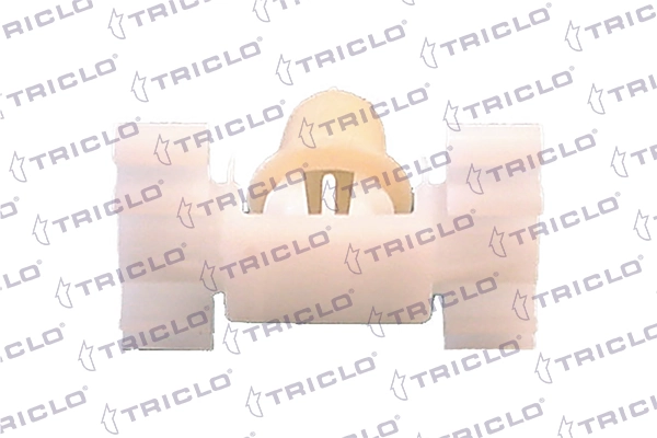 162943 Triclo