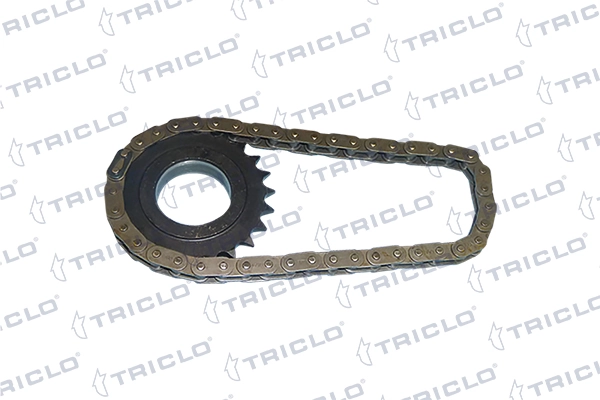 425869 TRICLO Juego, cadena, bomba de aceite original y equivalente