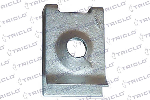 161788 Triclo