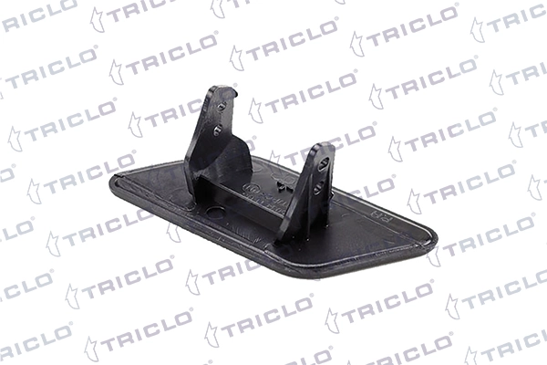 190217 Triclo