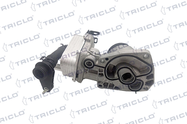 410189 Triclo