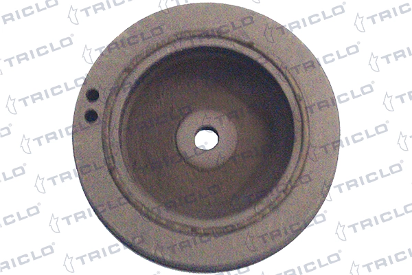 Polia de cambota Renault Scenic 1 JA0, JA1, FA0