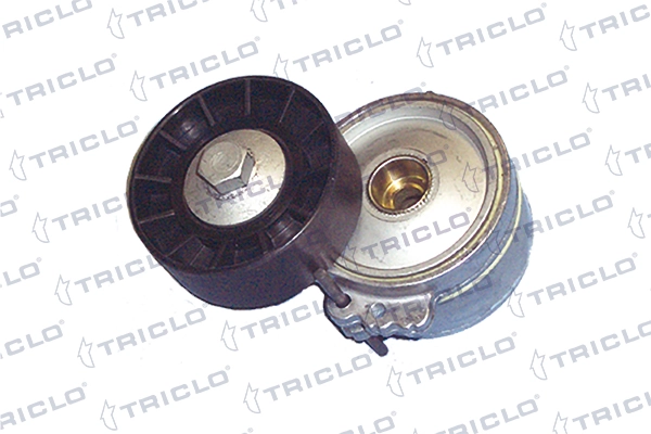 421234 Triclo