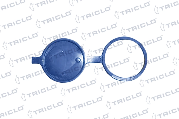311827 Triclo