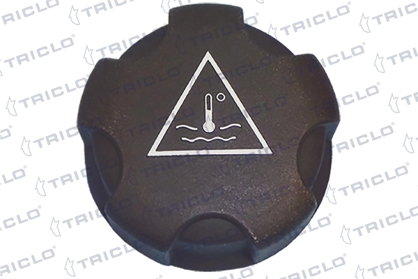 313198 Triclo