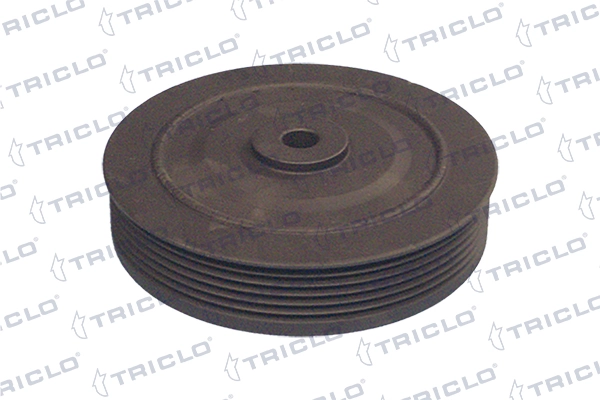 Polia de cambota Renault Scenic 1 JA0, JA1, FA0