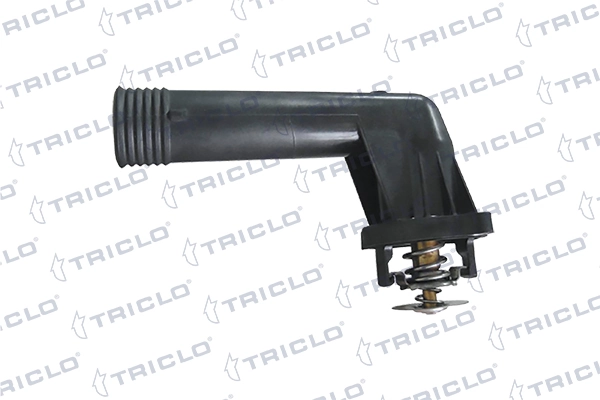 462161 Triclo