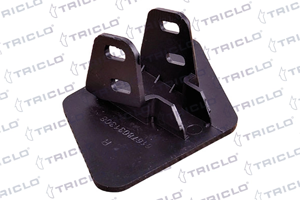 190201 Triclo
